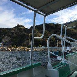 ライトゲーム島