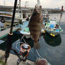 釣り納めません