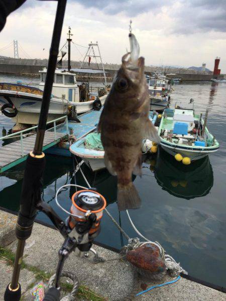 釣り納めません