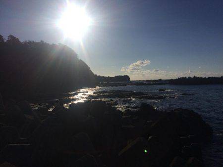 今年ラスト釣行