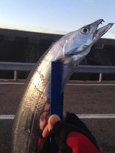 今年最後の刀狩り