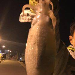 シリアケイカ〜