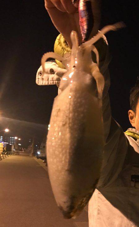 シリアケイカ〜