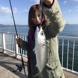 サバ、カワハギ