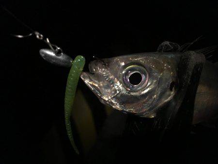 オールナイトアジング