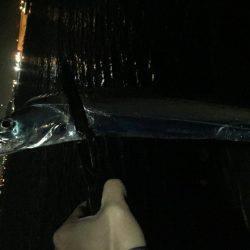 タッチー渋かった^^;