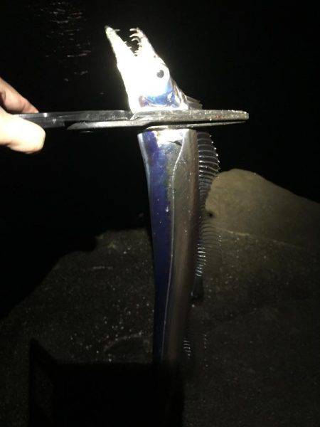 激渋なタッちゃん