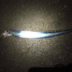 雨上がりのタイミングに(^o^)