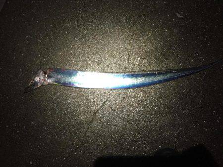 雨上がりのタイミングに(^o^)