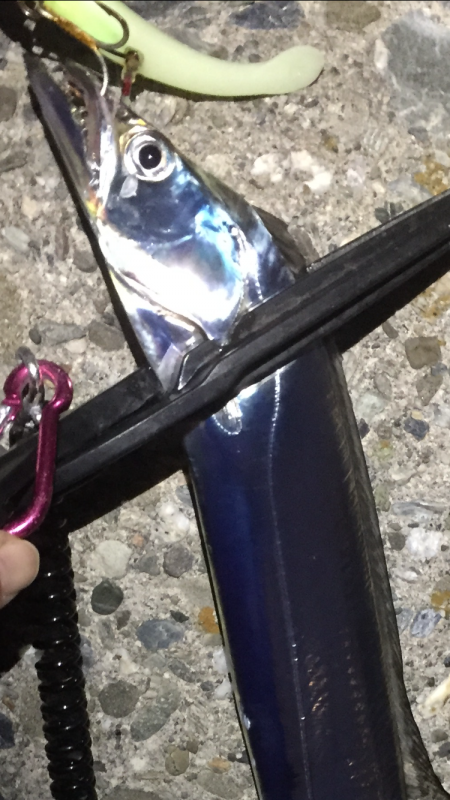 タッちゃん終わりなのか…(>_<…