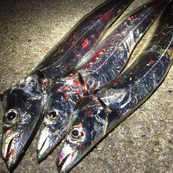 初ドラゴン〜〜まさかのバラシ(>_<)