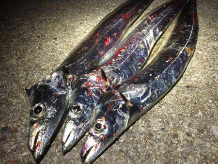 初ドラゴン〜〜まさかのバラシ(>_<)