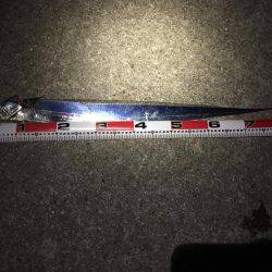 満月の太刀狩り