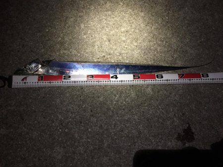 満月の太刀狩り