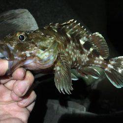 ロッドセットの衣替え(^.^)