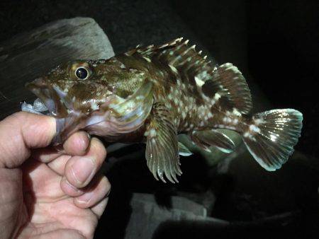 ロッドセットの衣替え(^.^)