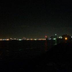 噂のメバル求めて