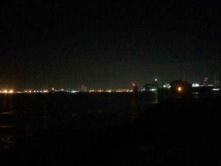 噂のメバル求めて