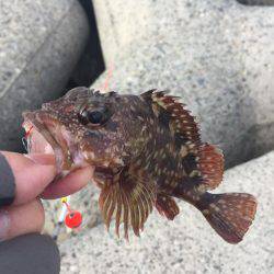 釣り納め穴釣り