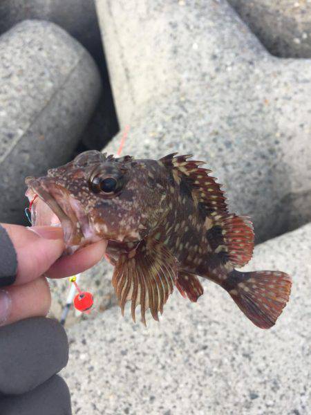 釣り納め穴釣り