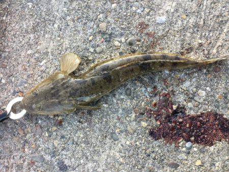 クリスマスプレゼント