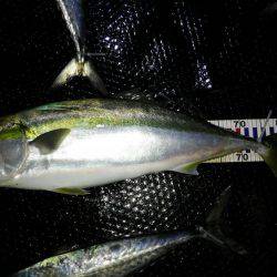 初めてのジギング船