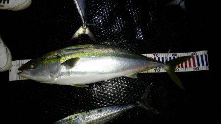 初めてのジギング船