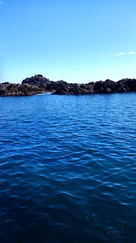 グレはいずこ？