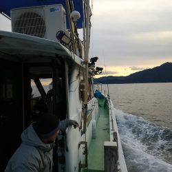 尾鷲でイカメタル