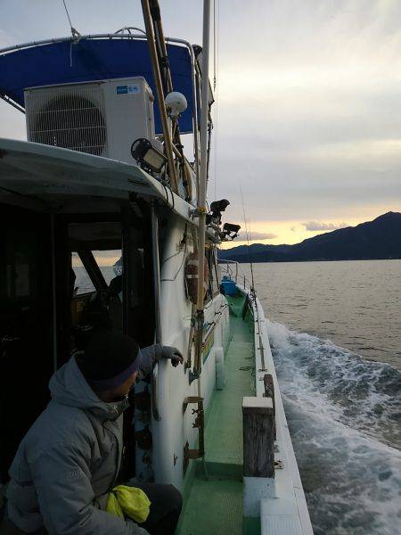 尾鷲でイカメタル