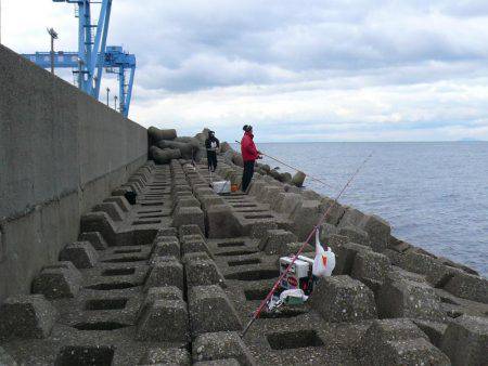 二見人工島で落ちギス爆釣