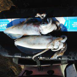 こんなん出ました・・・pt4