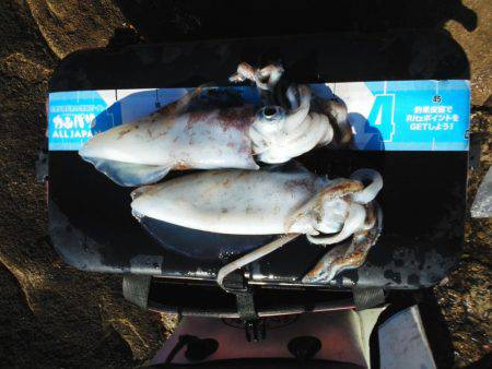 こんなん出ました・・・pt4