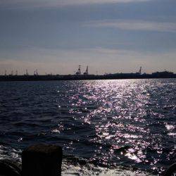 初の神戸沖堤で大アジゲット！