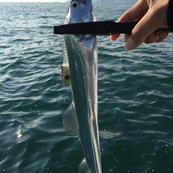 タチウオジギング&テンヤ