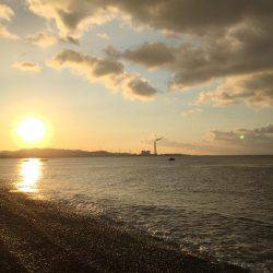 ソウダガツオ好調