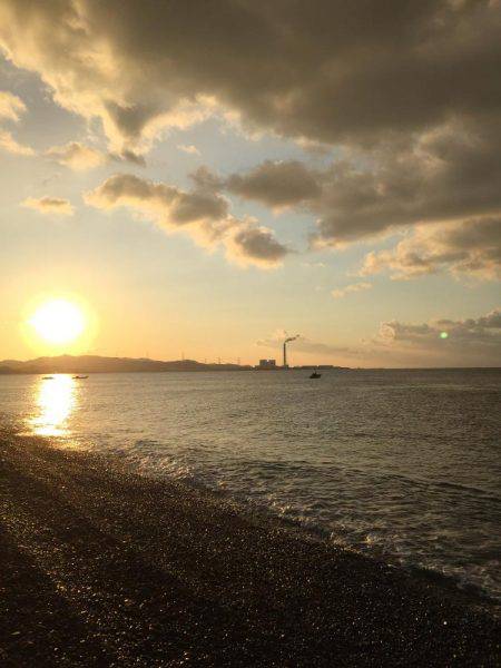 ソウダガツオ好調