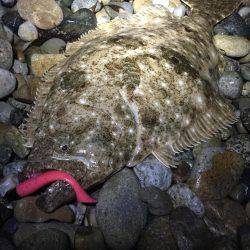 感動をありがとう!