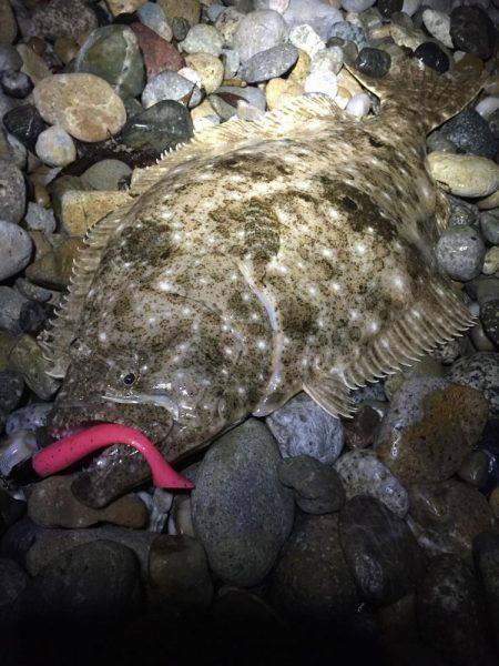 感動をありがとう!