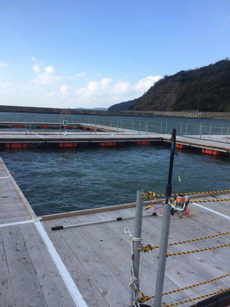 海上釣り堀湯浅