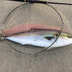 噂どうりでした！