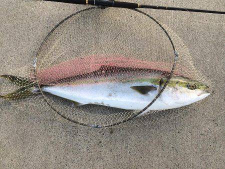 噂どうりでした！