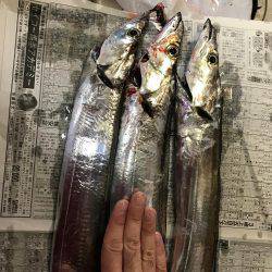 夕まづめルアー