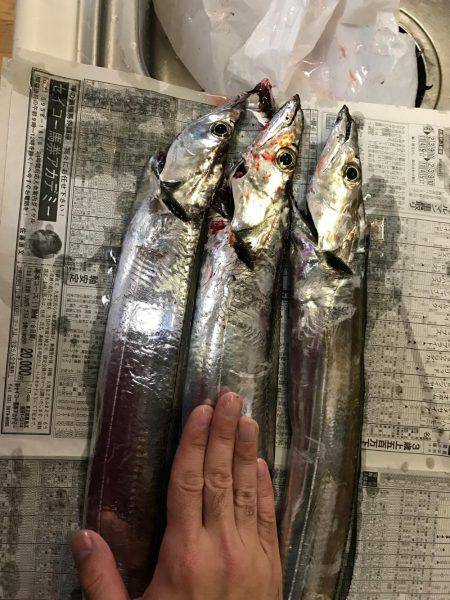 夕まづめルアー