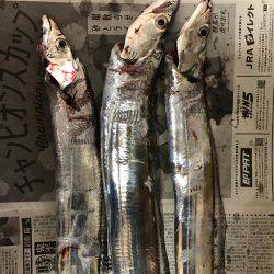 朝マズメルアー