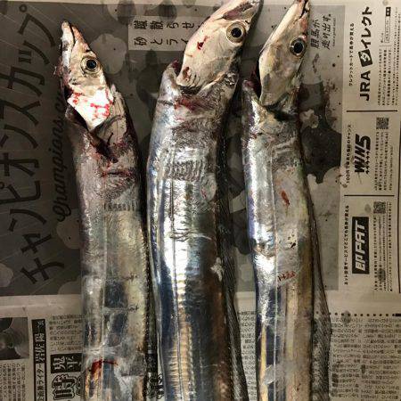 朝マズメルアー