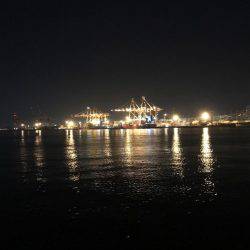 アピールカラーのグリーンで