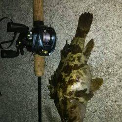 久しぶりのロック♪