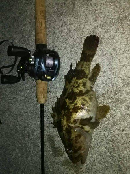 久しぶりのロック♪