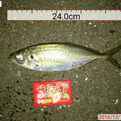 気温は1℃(・・;)